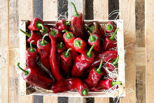 Paprika spitz Bio Zypern