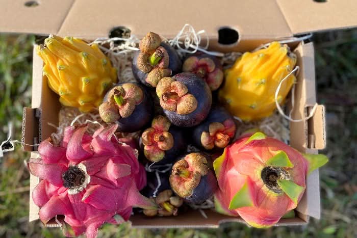 Exotische Früchtebox „Südamerika-Magie“