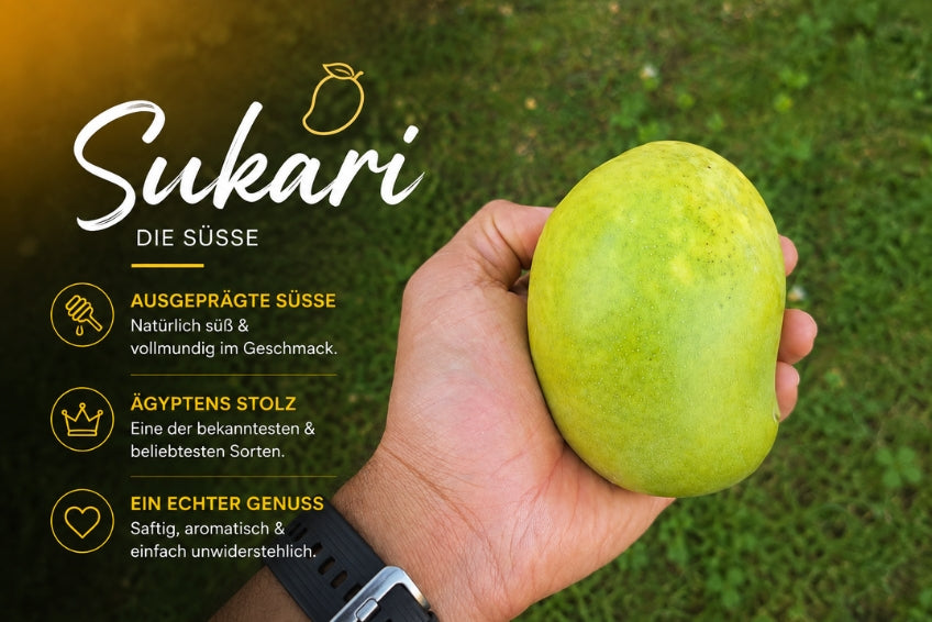Ägyptische Mango Entdeckerbox (3kg)