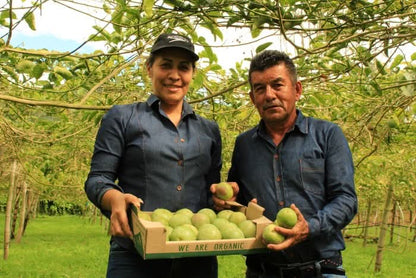 Smaragd-Maracuja "Sweet Emerald" von Familie Bolivar Sparpreis-Box