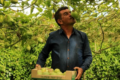 Maracuja "Sweet Emerald" von Familie Bolivar Kennenlernpreis