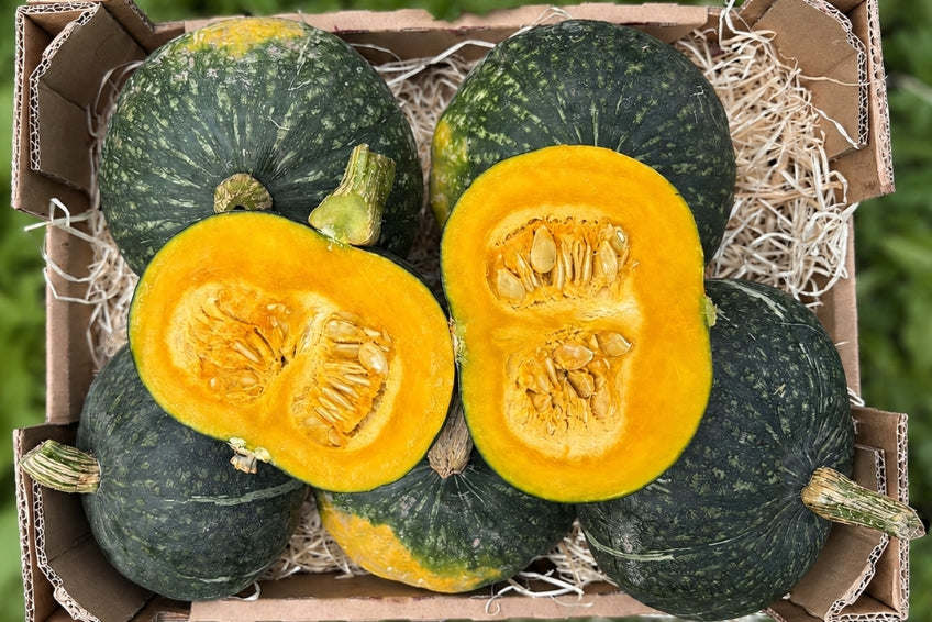 Kürbis Sweet Mama Bio Regional Billesberger