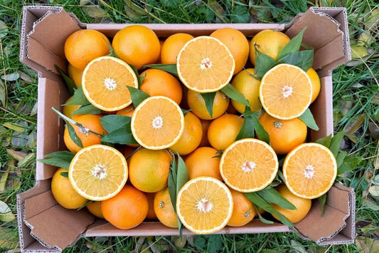 Bio Mandarine "Tacle" Sparpreis-Box % 6kg