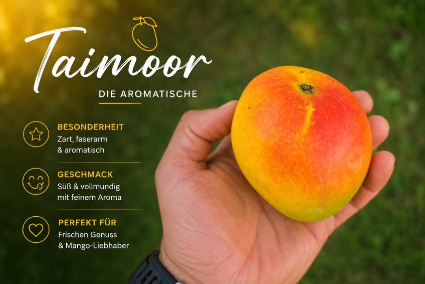Ägyptische Mango Entdeckerbox (3kg)