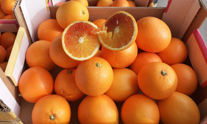 Bio Ätna Tarocco Orangen von Andrea Sizilien