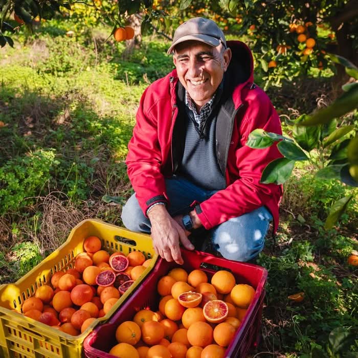 Bio Halbblut-Orange „Tarocco“ von Duilio Sizilien