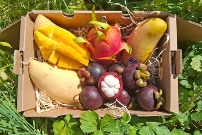 Früchtebox "Thai Gold" Kennenlernpreis