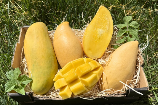 Mango Thai Trio Aktionswoche %