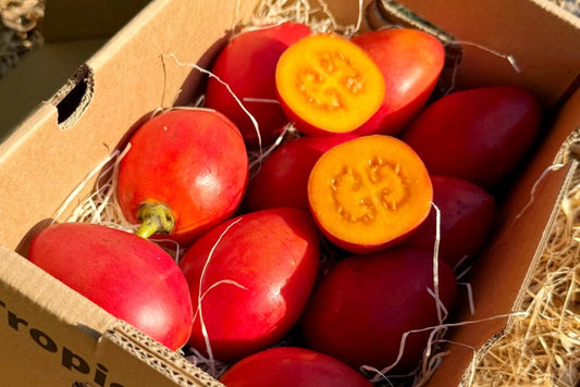 Tamarillo (Tomate de Arbol)