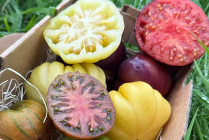 Tomaten Trio von Julian Box 2kg