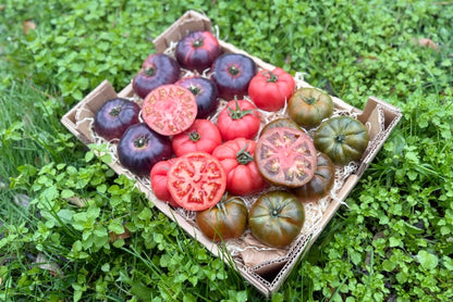 Tomaten Mix von Julian Sonderaktion % 3kg Box