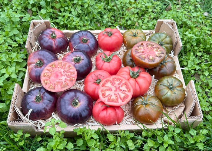 Tomaten Mix von Julian Sonderaktion % 3kg Box