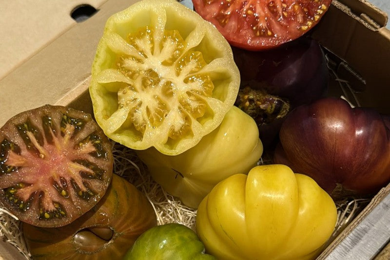 Tomaten Trio von Julian Box 2kg
