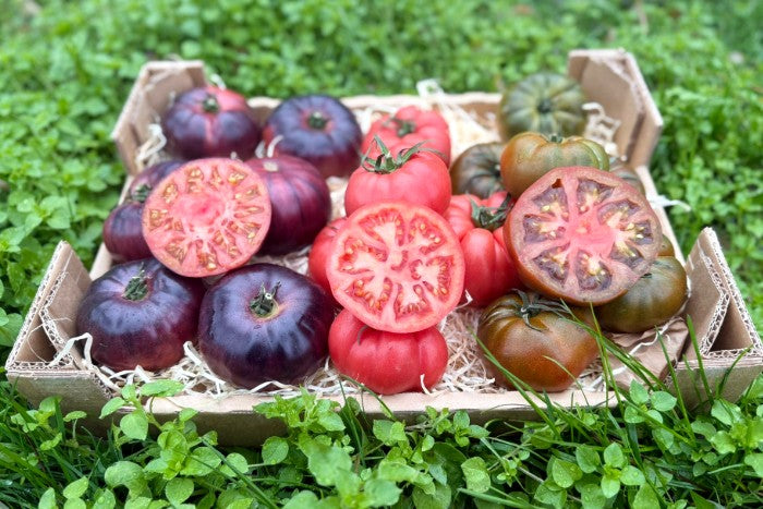 Tomaten Mix von Julian Sonderaktion % 3kg Box