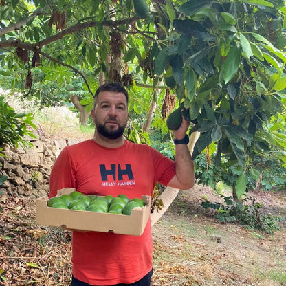 Avocadobox "Klick & Mix" Aktionspreis % 2,5kg