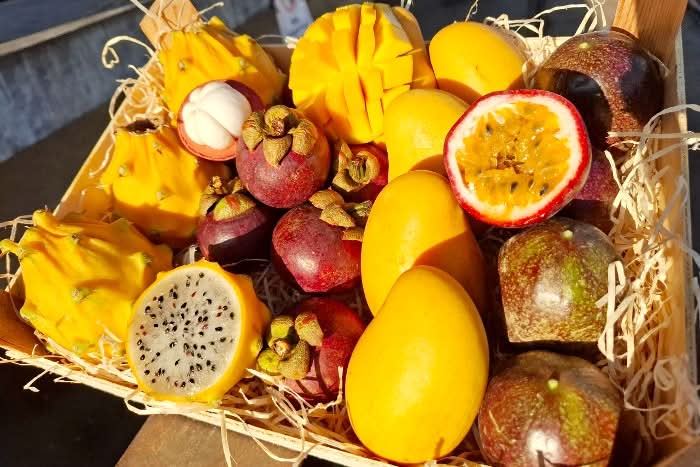 Exotische Früchtebox „Tropenfeeling"