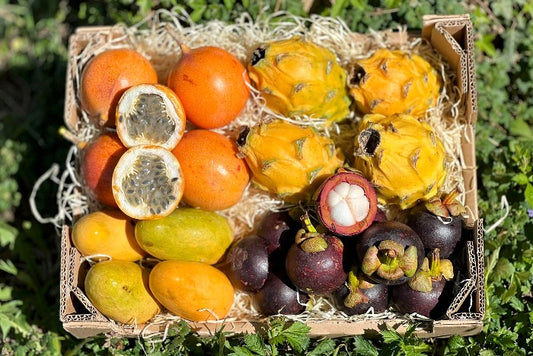 Exotische Früchtebox "Tropen Träumerei"