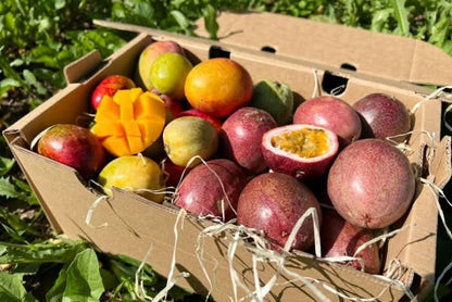 Babymango & Passionsfrüchte Duo Box