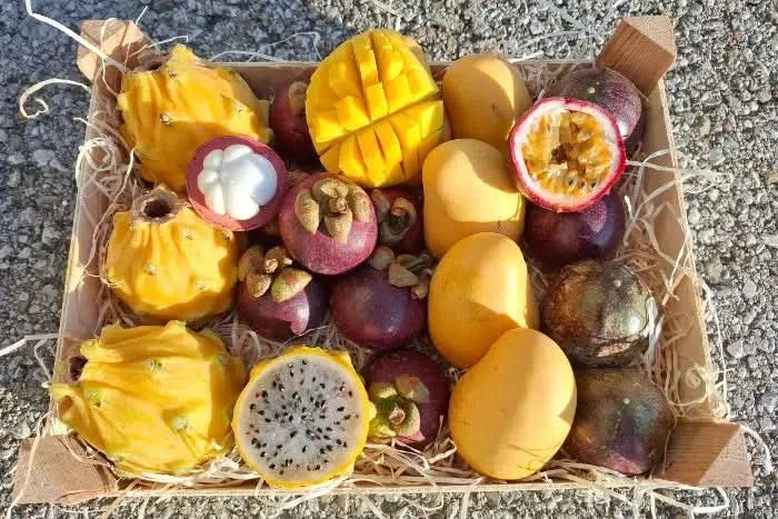 Exotische Früchtebox „Tropenfeeling"