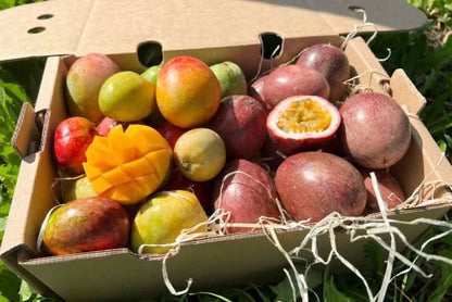 Babymango & Passionsfrüchte Duo Box