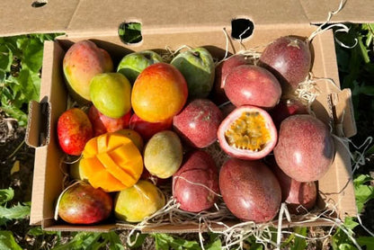 Babymango & Passionsfrüchte Duo Box