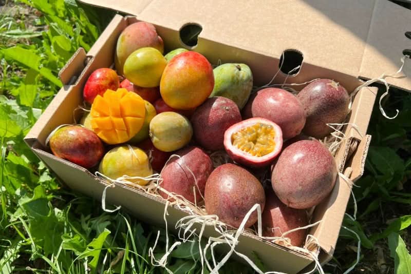 Babymango & Passionsfrüchte Duo Box