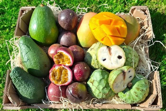 Bio Obstbox "Tropical Weekend" Sonntags-Special % 4kg
