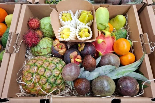 Exotische Früchte "Tropical Wonders" Entdecker Box Bio & Wild