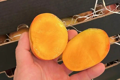 Mango Tropigold von Julian