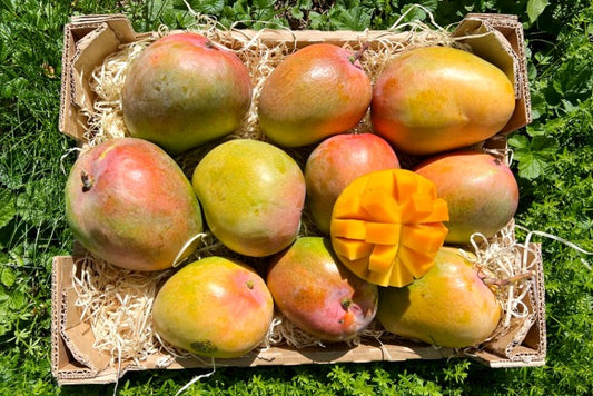 Mango Tropigold von Antonio Sonderaktion % 4kg