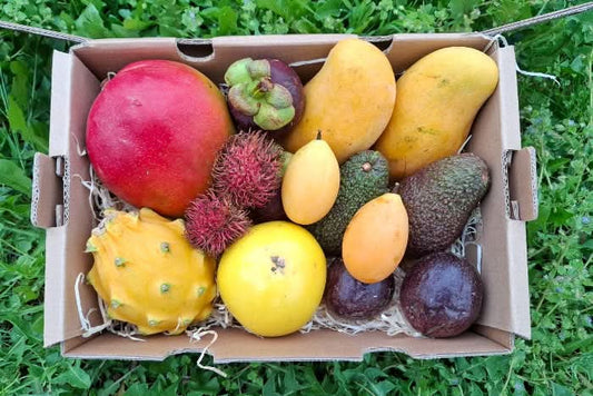 Bio Tropische Osterbox small