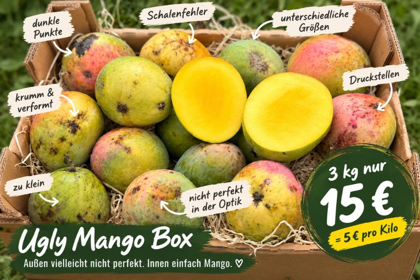 Ugly Mangobox – Produktansicht 2