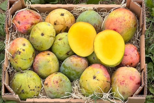 Ugly Mangobox