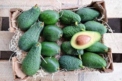 Avocado-Mix Bio & Wild von Julian Wochenaktion % 4kg