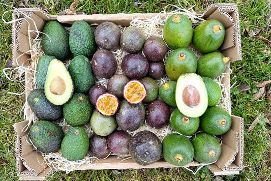 Baby Avocado & Passionsfrüchte von Juan Retterbox % 3kg