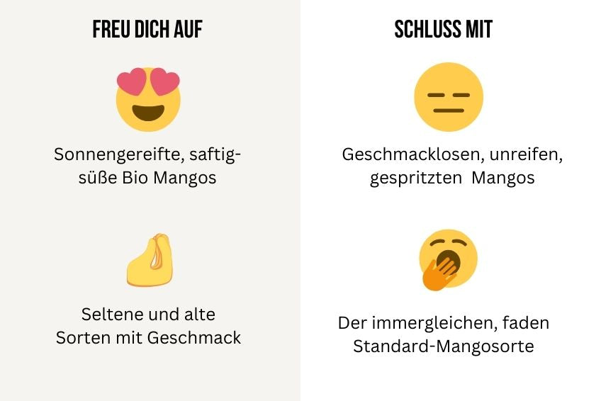 Mango Entdeckerbox (12 Sorten!) Aktionspreis %