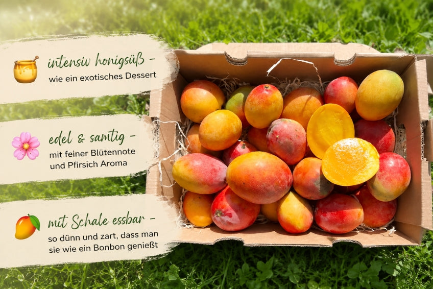 Baby-Mango Irwin Bio von Julian