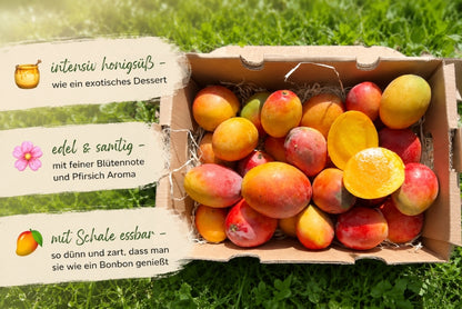 Baby-Mango Irwin Bio von Julian