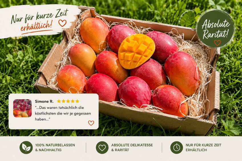 Mango Irwin Edelsorte Bio von Julian