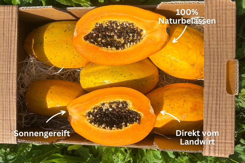 Papaya von Salvador Kennenlernpreis % 4kg Box