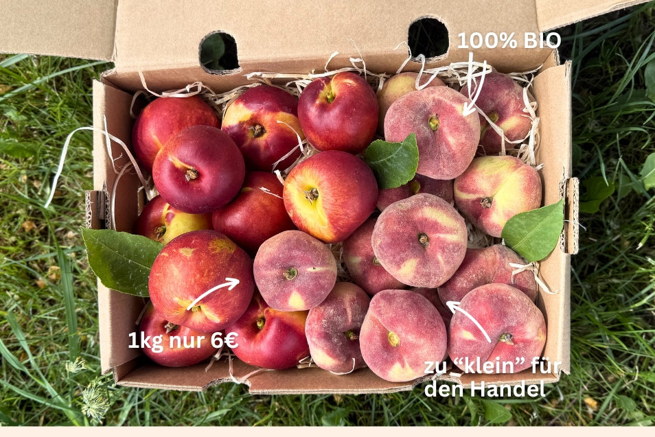 Pfirsich & Nektarinen Bio von Jordi Retterbox 3kg