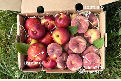 Pfirsich & Nektarinen Bio von Jordi Retterbox 3kg
