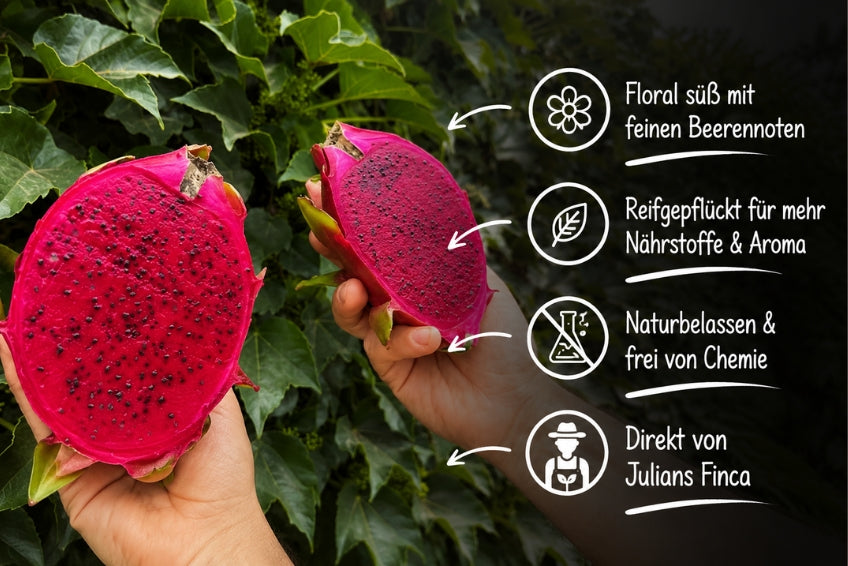 Drachenfrucht rot von Julian