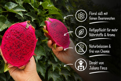 Drachenfrucht rot von Julian