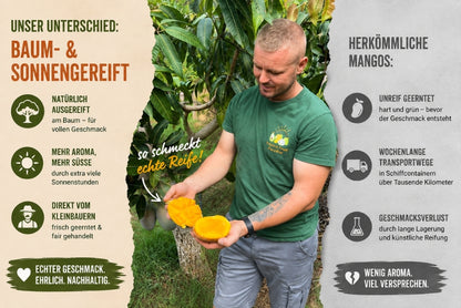 Mango Entdeckerbox (8-10 Sorten!)