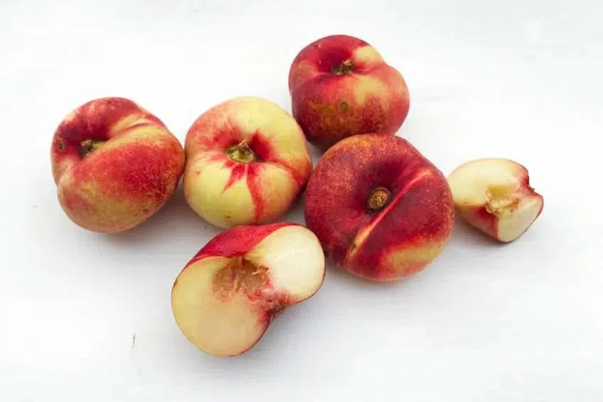 Tellernektarinen Platerinos Bio von Jose Miguel