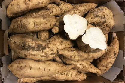 Bio Süsskartoffel weiss Demeter