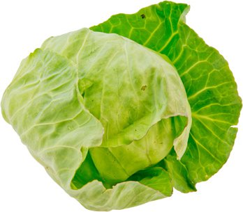 Weißkohl bio regional demeter neue Ernte vom Obergrashof