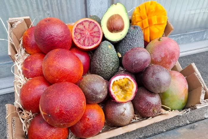 Bio Obstbox “Exotischer Wintertraum”