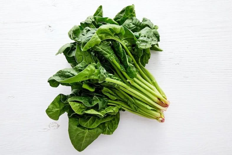 Wurzelspinat Bio